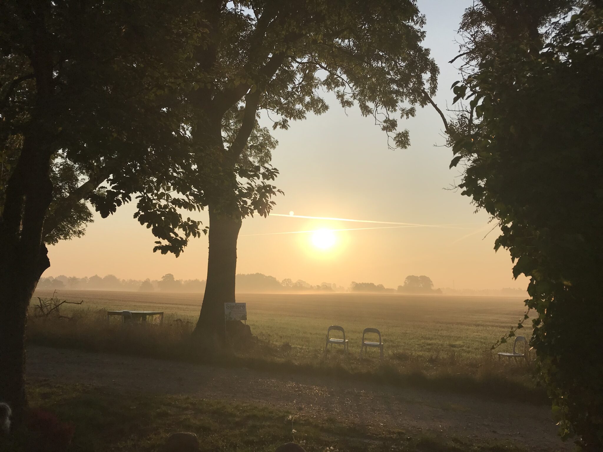 Psykoterapi - jungiansk grundlag